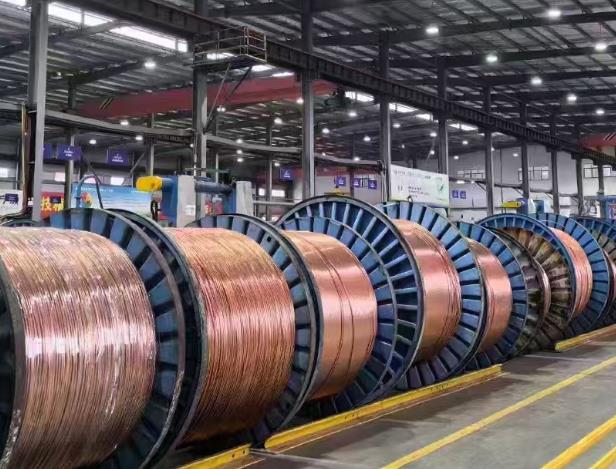 江西粤工电线电缆2025年1月15日案例