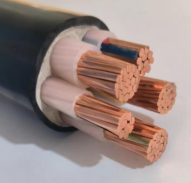 江西粤工电线电缆2025年1月15日案例-3