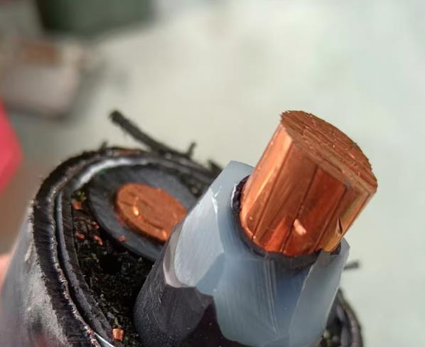 江西粤工电线电缆2025年1月15日案例-4