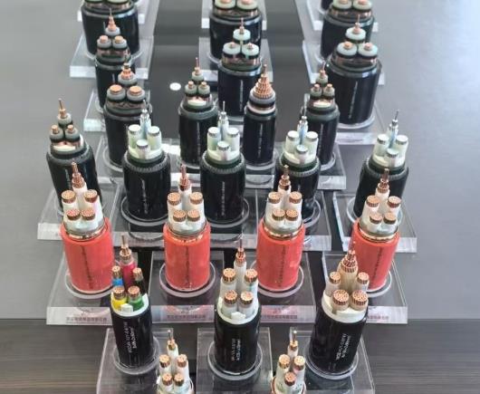 江西高低压电线电缆：五月六日案例展示