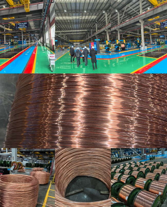 粤工电线电缆5月工艺-5