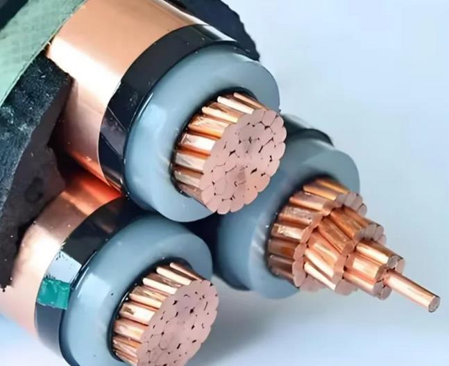 （江西电线电缆）五月七日新案例展现